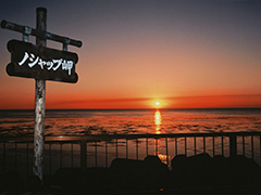 ノシャップ岬